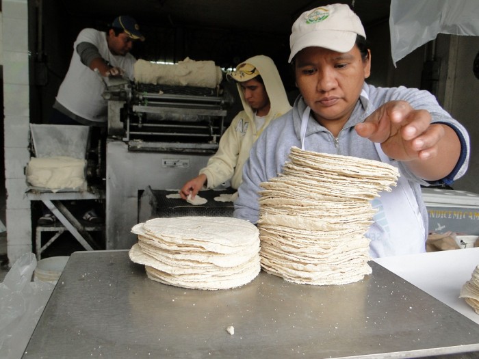 Tortilla hasta en 18 pesos el Kilo